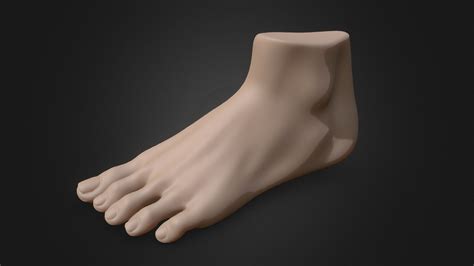 3d animation feet|Free 3D Foot Models .